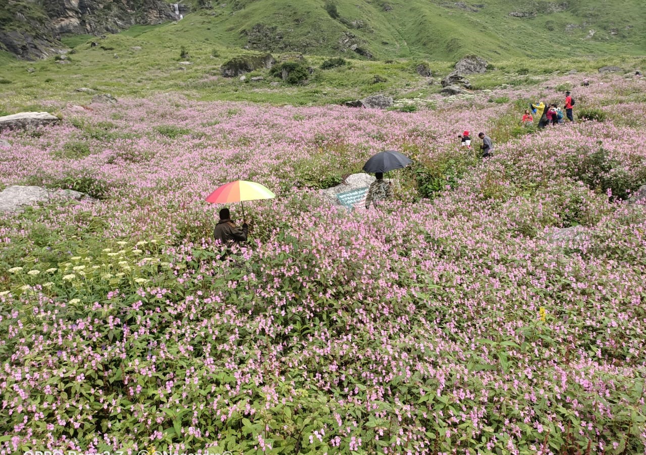 World Famous Valley of Flowers Opens to Visitors in Uttarakhand's Chamoli