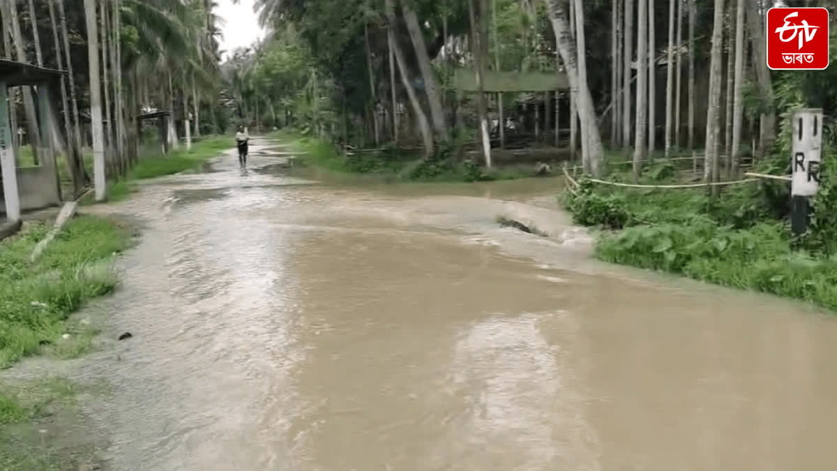 Flood breaching embankment at Kampur in Nagaon