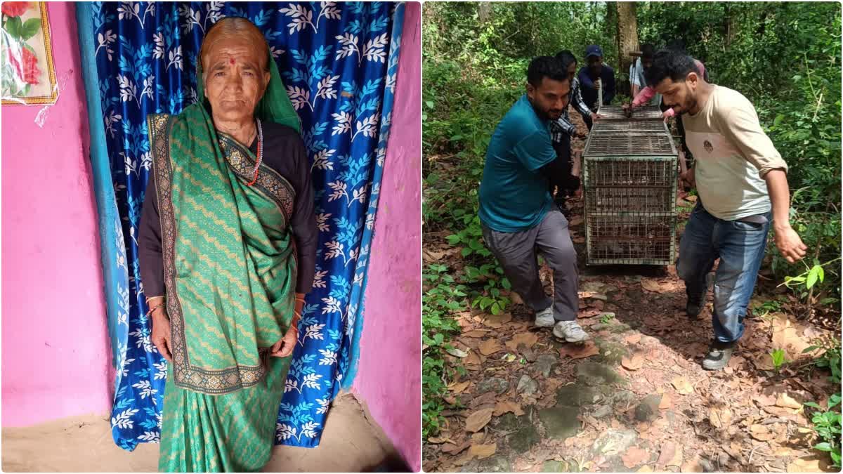 Woman dies in leopard attack