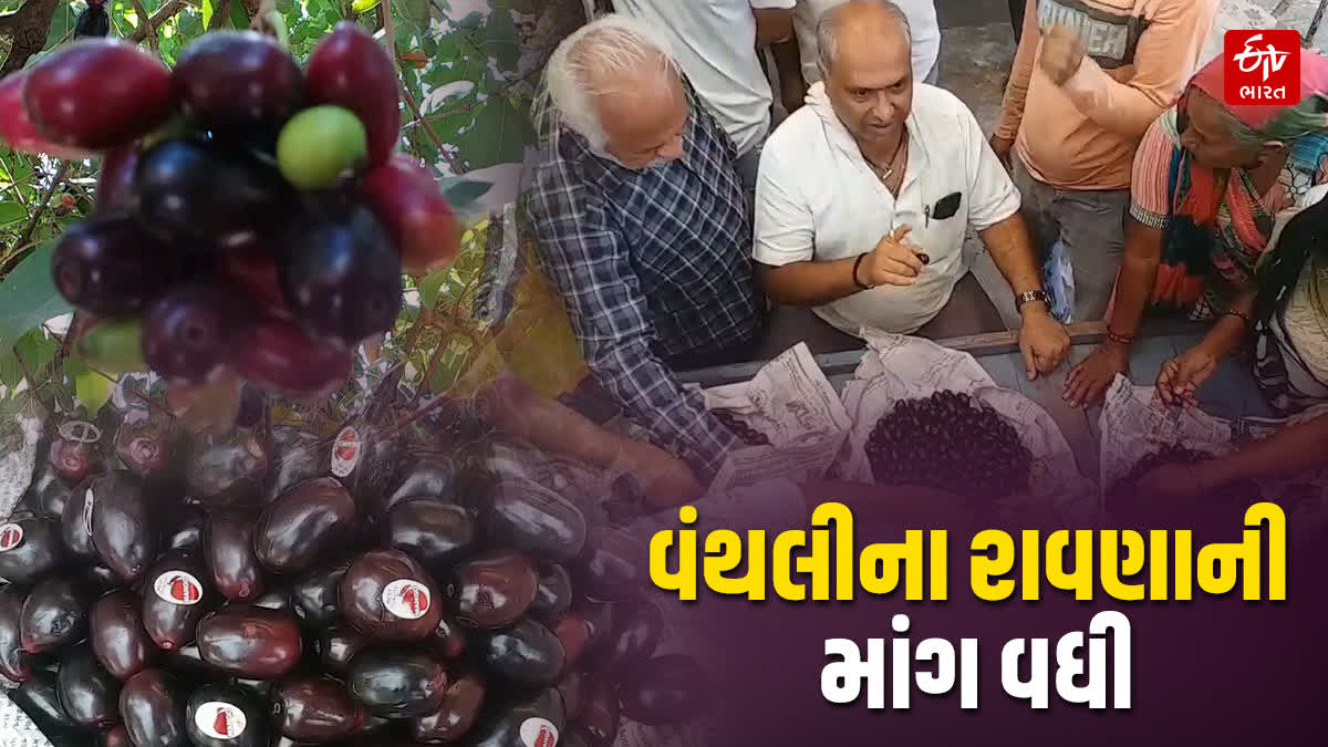 સોરઠ પંથકના રાવણાની વધતી માંગ