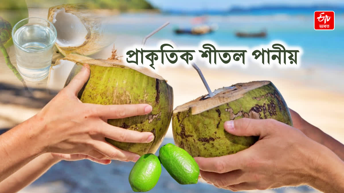 Know about health benefits of lemon juice and coconut water during summer