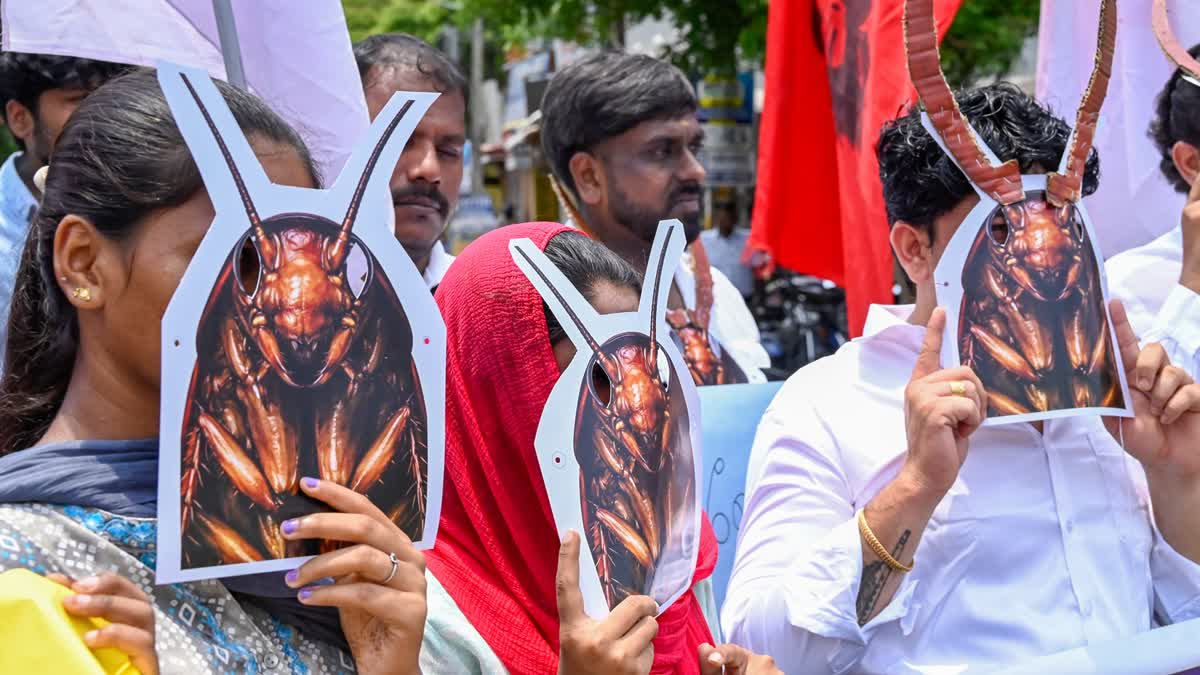 Cockroach Is Back: CJP Founder Abhijeet Dipke To Return To India On Jun 6