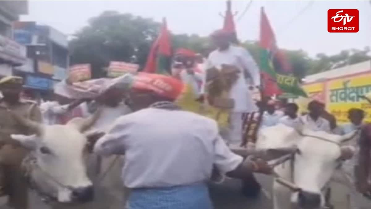 सपा ने बैलगाड़ी से निकाला मार्च.