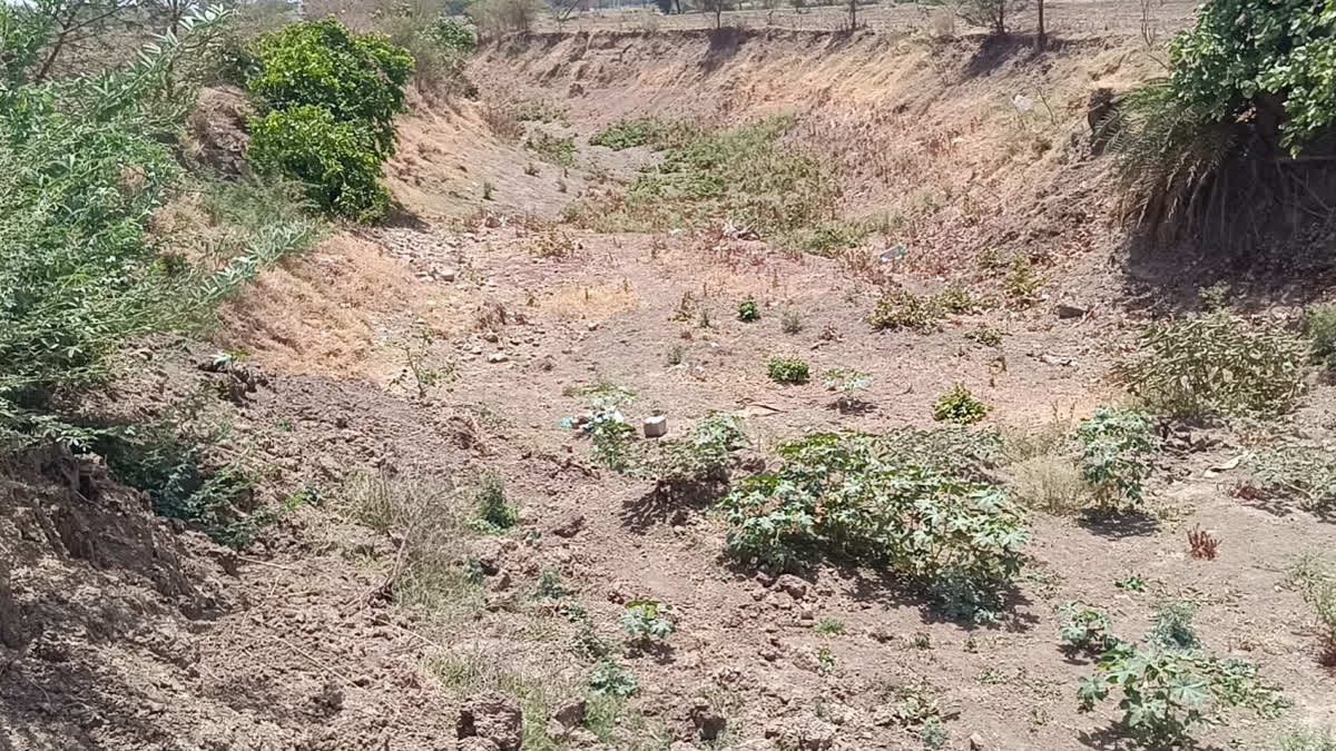 Etv Bharat