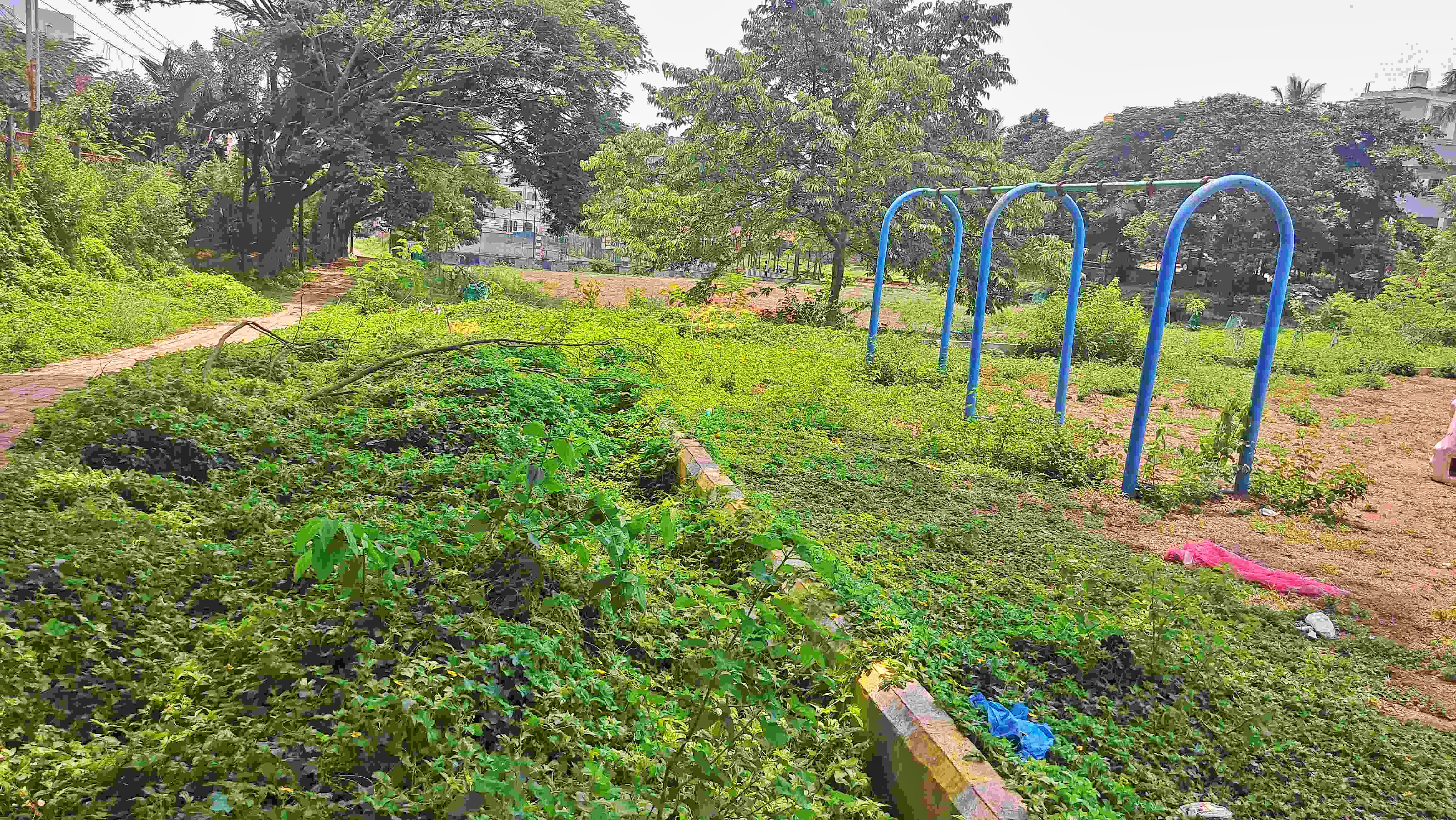 BELAGAVI  ಪಾರ್ಕ್ ಅಭಿಯಾನ  PARKS IN KARANATAKA  ಬೆಳಗಾವಿ ಮಹಾನಗರ