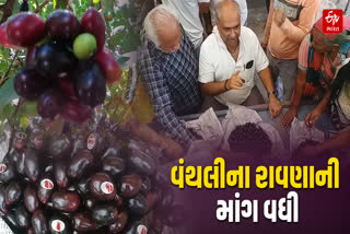 સોરઠ પંથકના રાવણાની વધતી માંગ