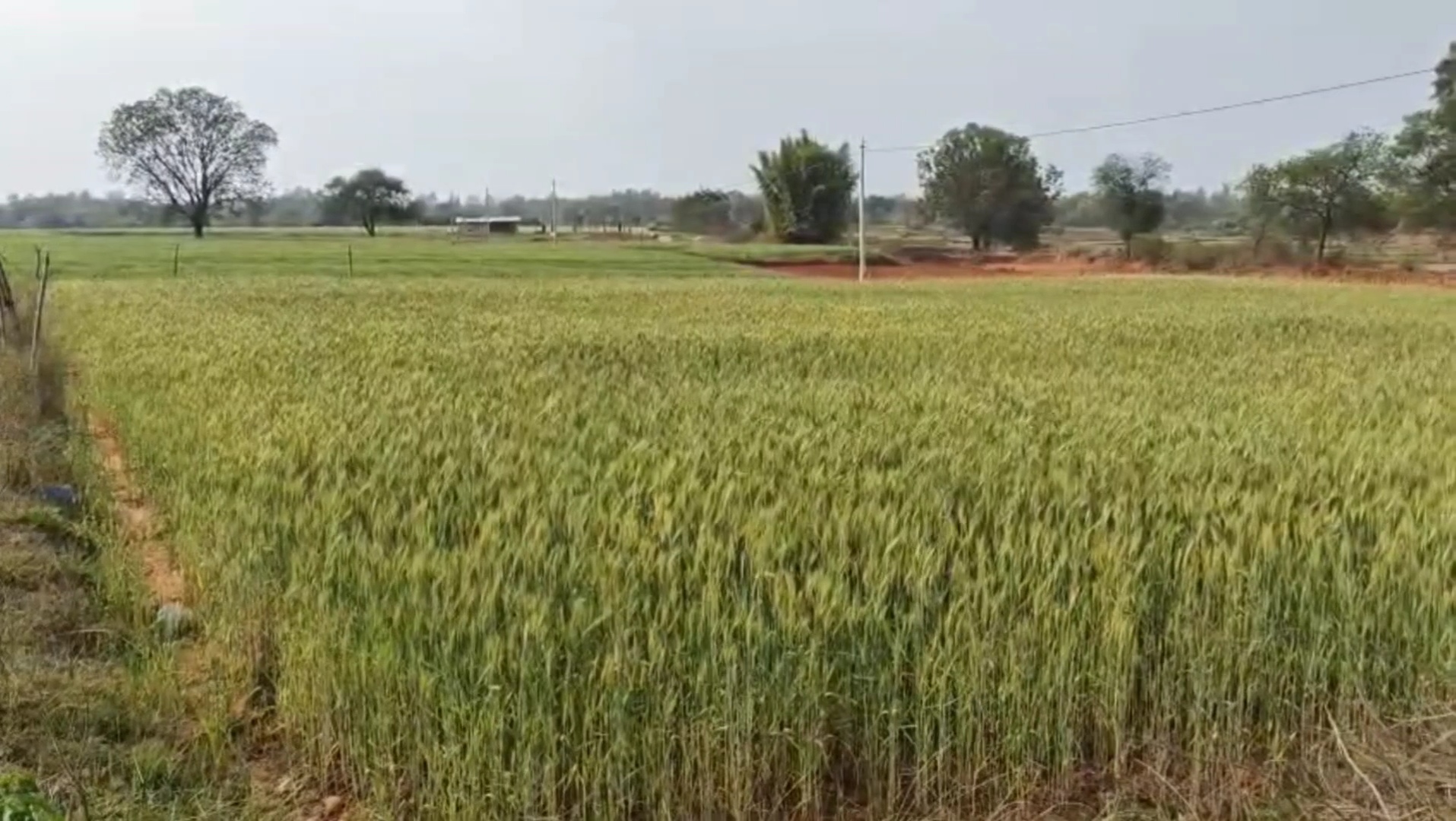 Borewell Machine Innovation