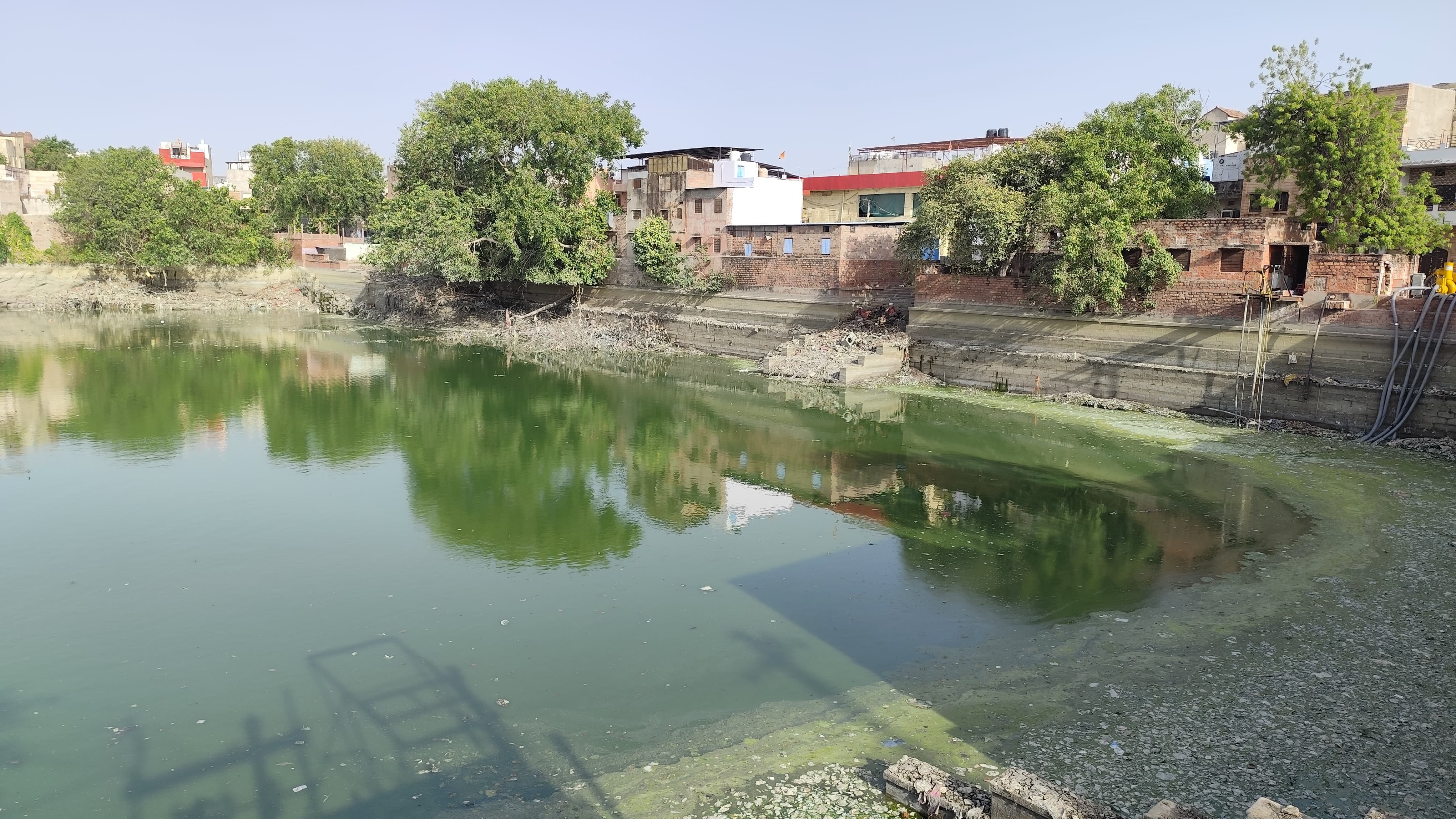 सीवरेज का पानी जमा होने से पानी हुआ जहरीला