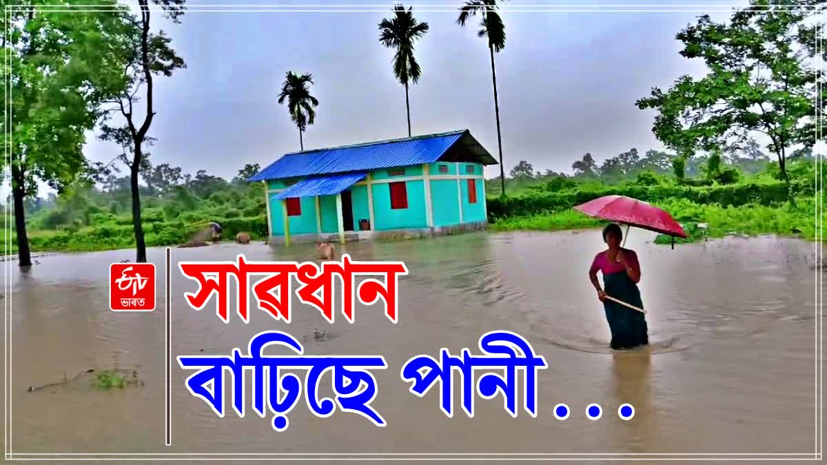 DAILY ASSAM FLOOD REPORT