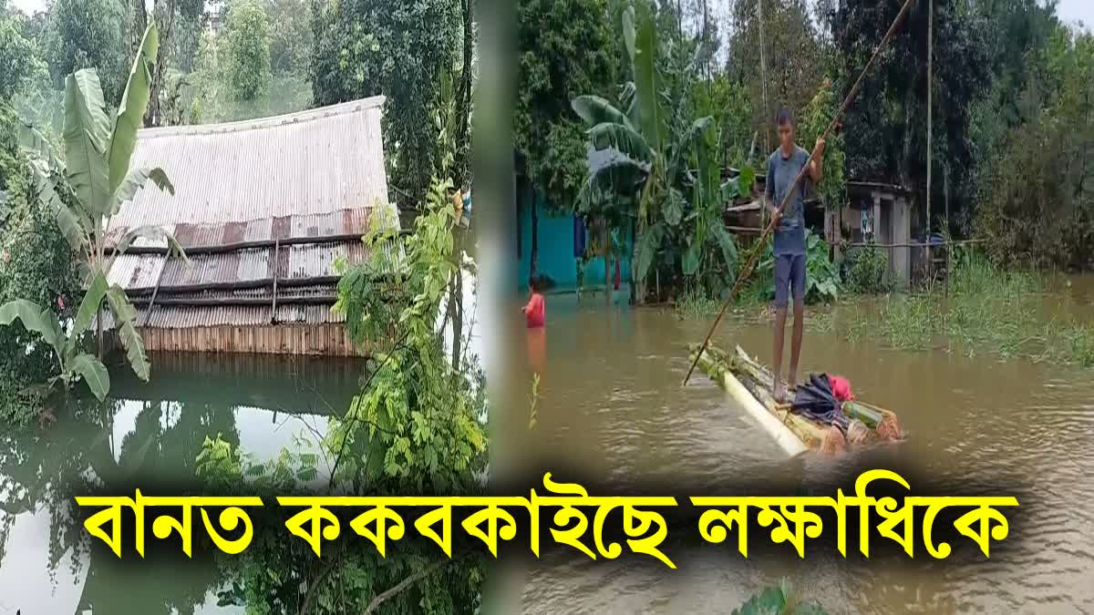 ASSAM FLOOD SITUATION