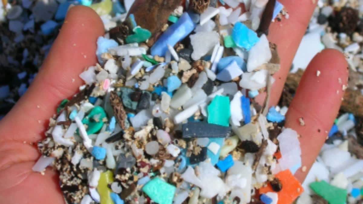 Microplastic Crisis: Plastic You Throw Away Is Now In Your Heart, Brain ...