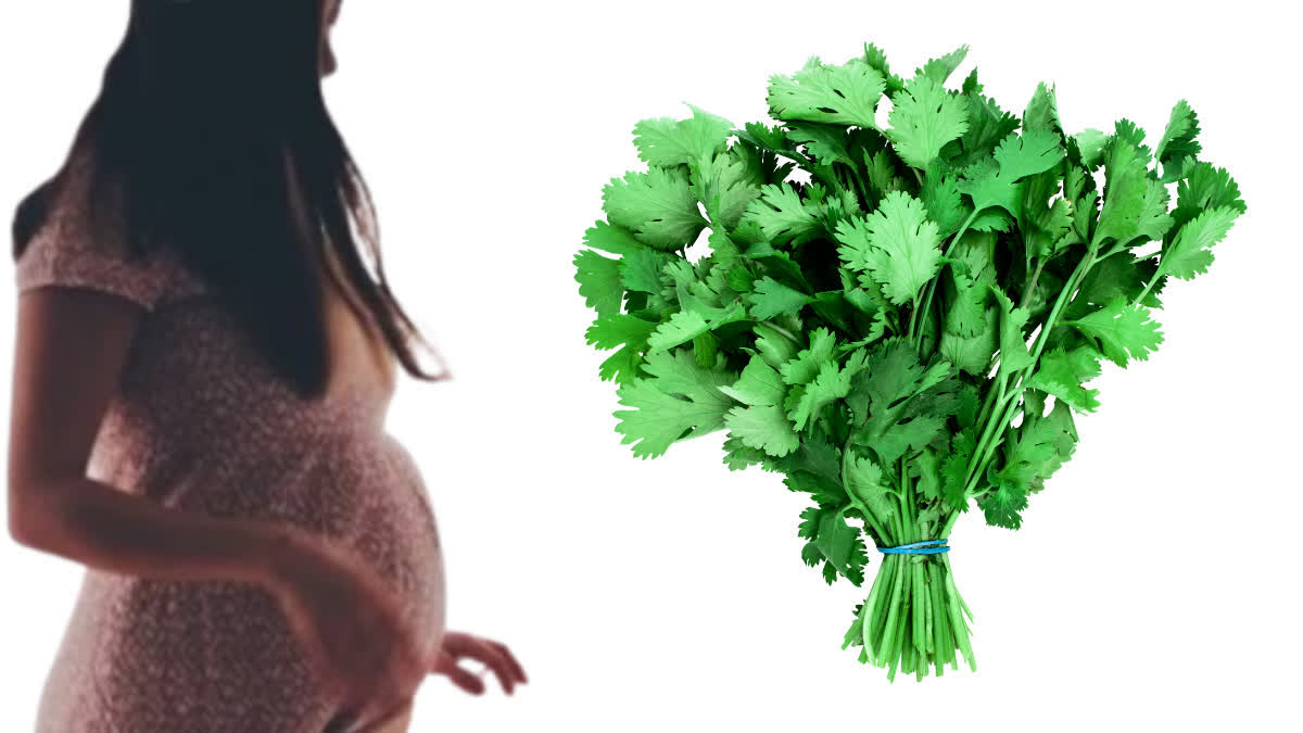 BENEFITS OF CORIANDER JUICE  HEALTH BENEFITS OF GREEN CORIANDER  CORIANDER JUICE HEALTH BENEFITS  GREEN CORIANDER HEALTH BENEFITS