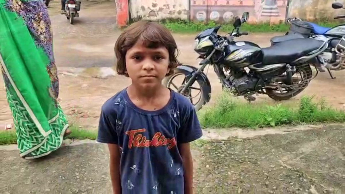 Common Krait In Gaya