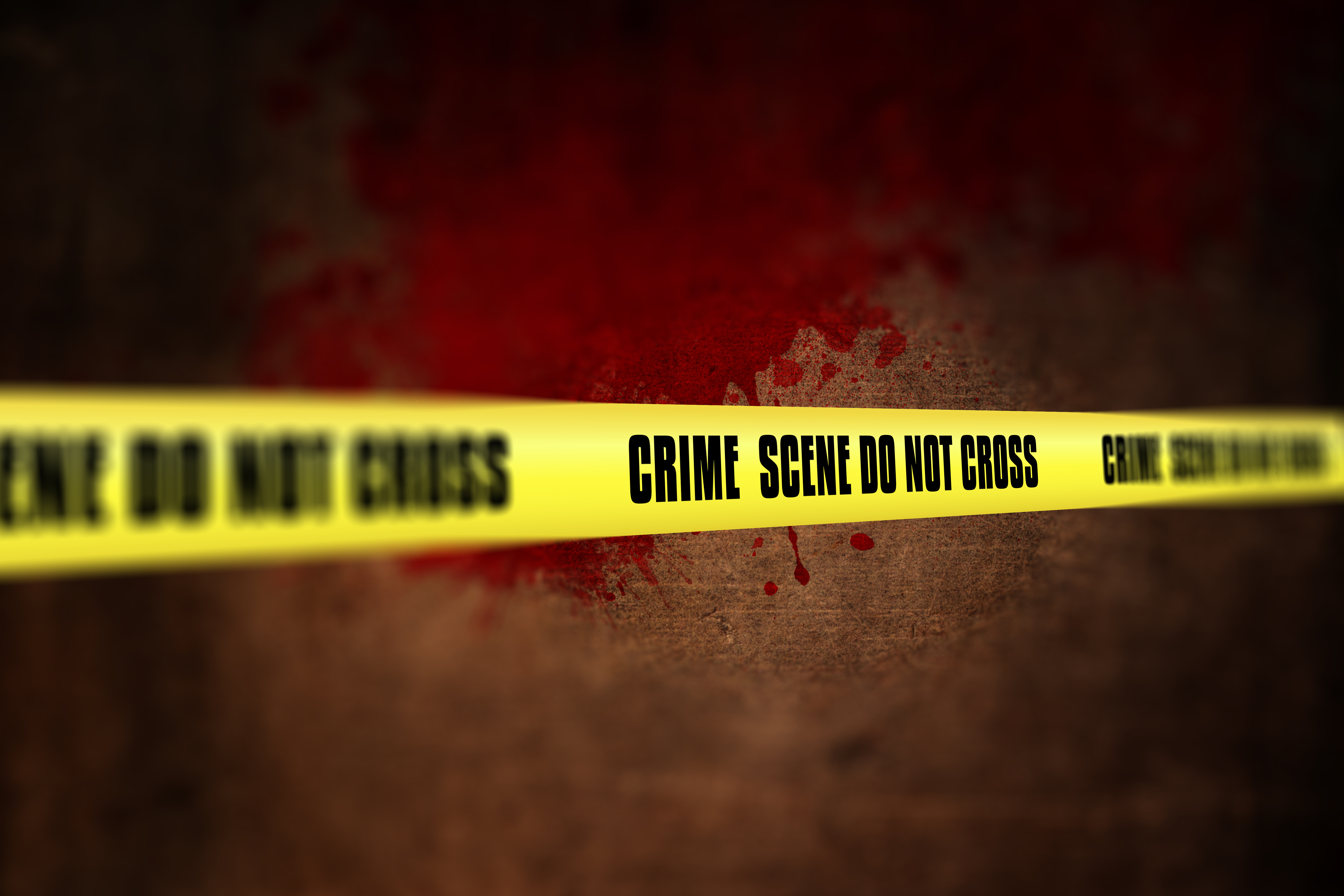 Assamese man kills partner in Bengaluru: Does alcohol really influence such cases?