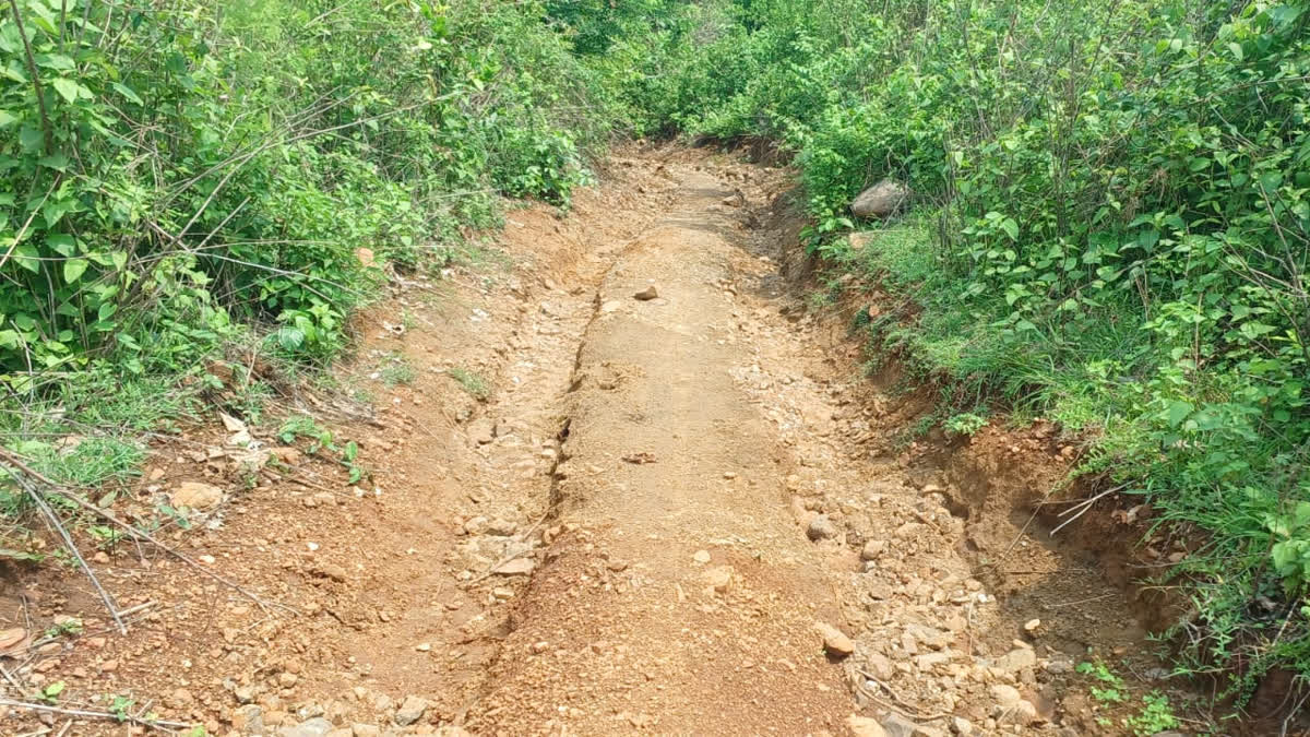 Gwalkhad village Latehar