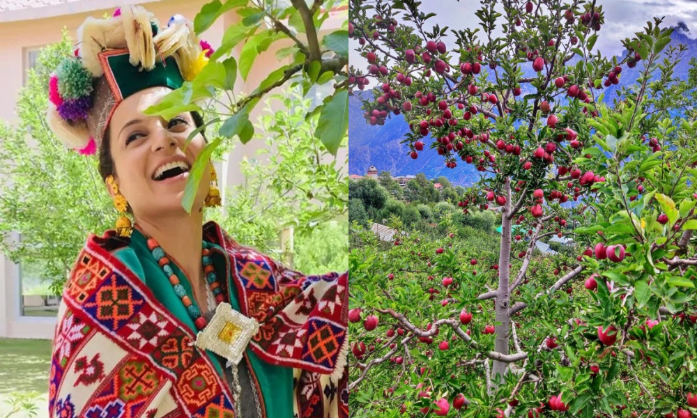 Kinnauri cap and Kinnauri apple