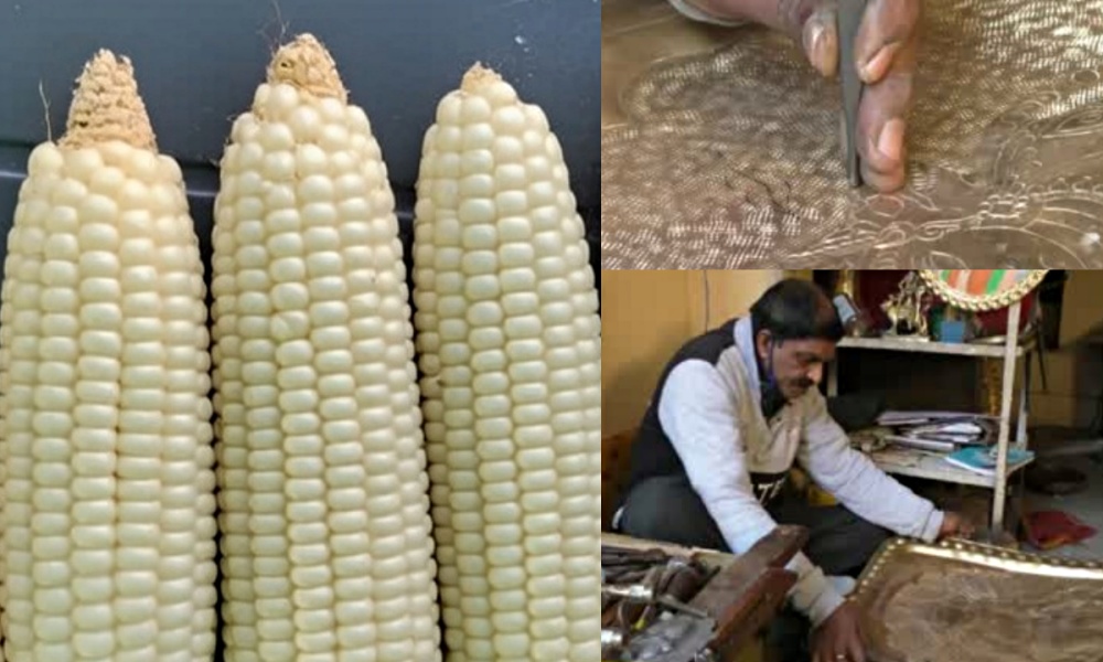 White Corn and Chamba Metal Art