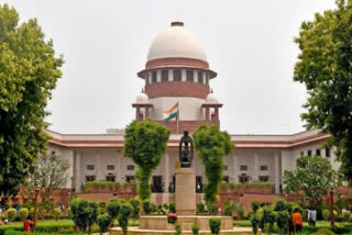 Tamil Nadu Govt Moves SC Against Madras HC Order Banning Cow Slaughter