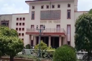 High Court on  stray dogs