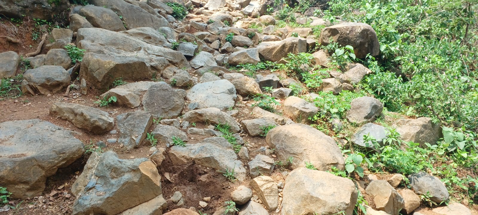 Gwalkhad village Latehar