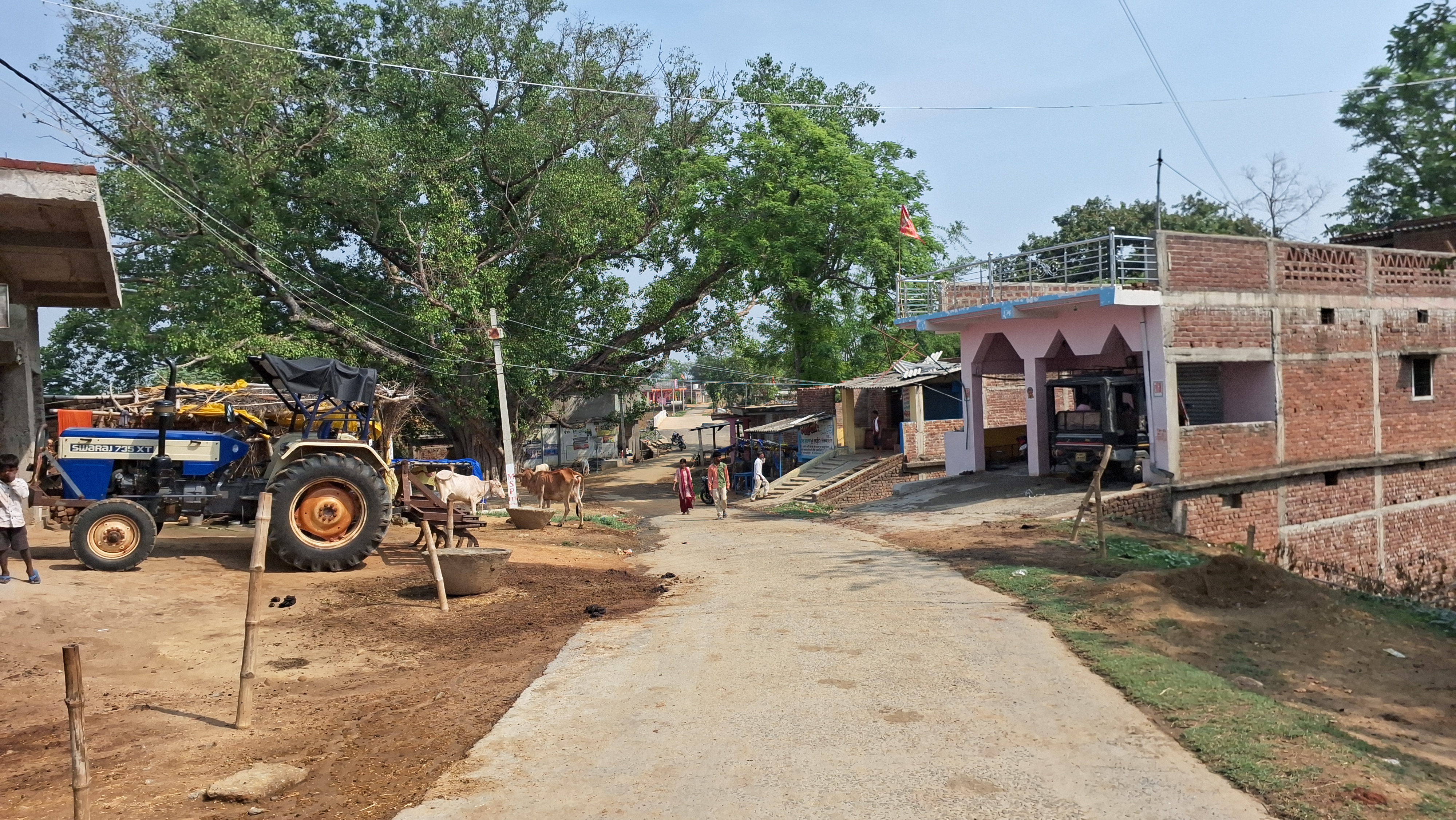 Mysterious illness in Palamu