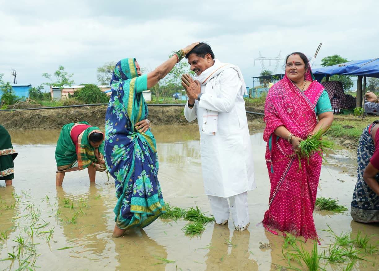 Seoni Mohan Yadav plant paddy