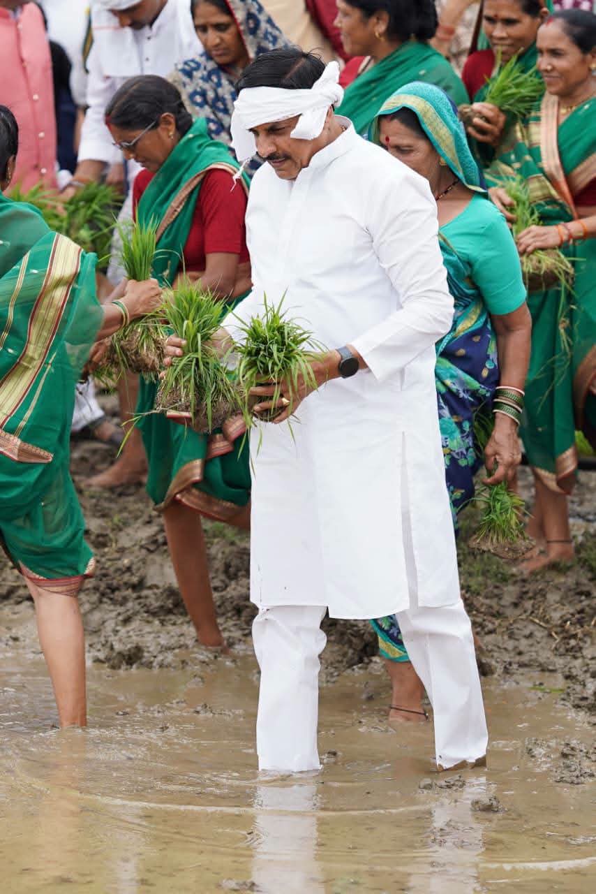 Seoni paddy planting