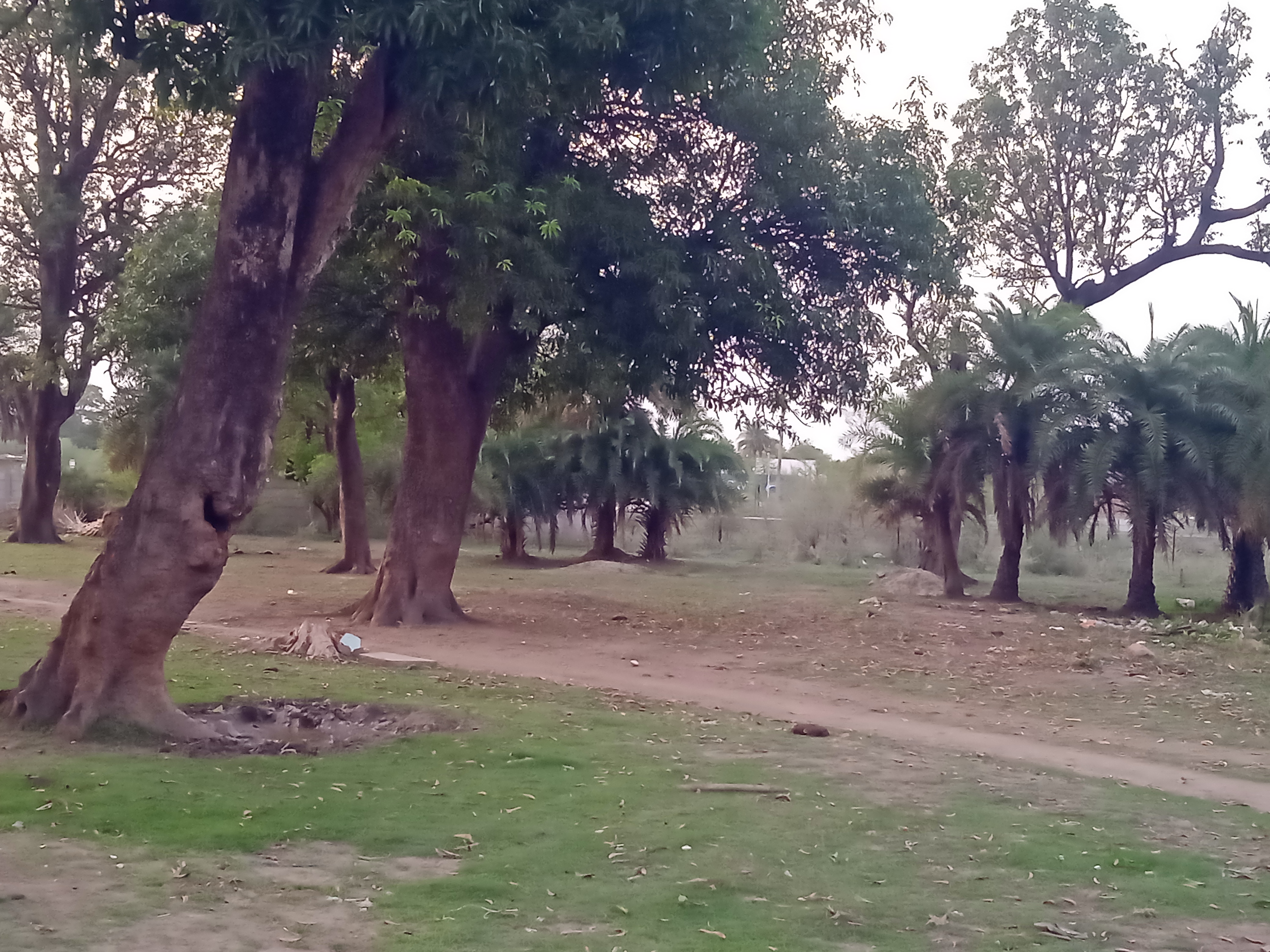 SAGAR ZINDA VILLAGE CONNECTION JINN