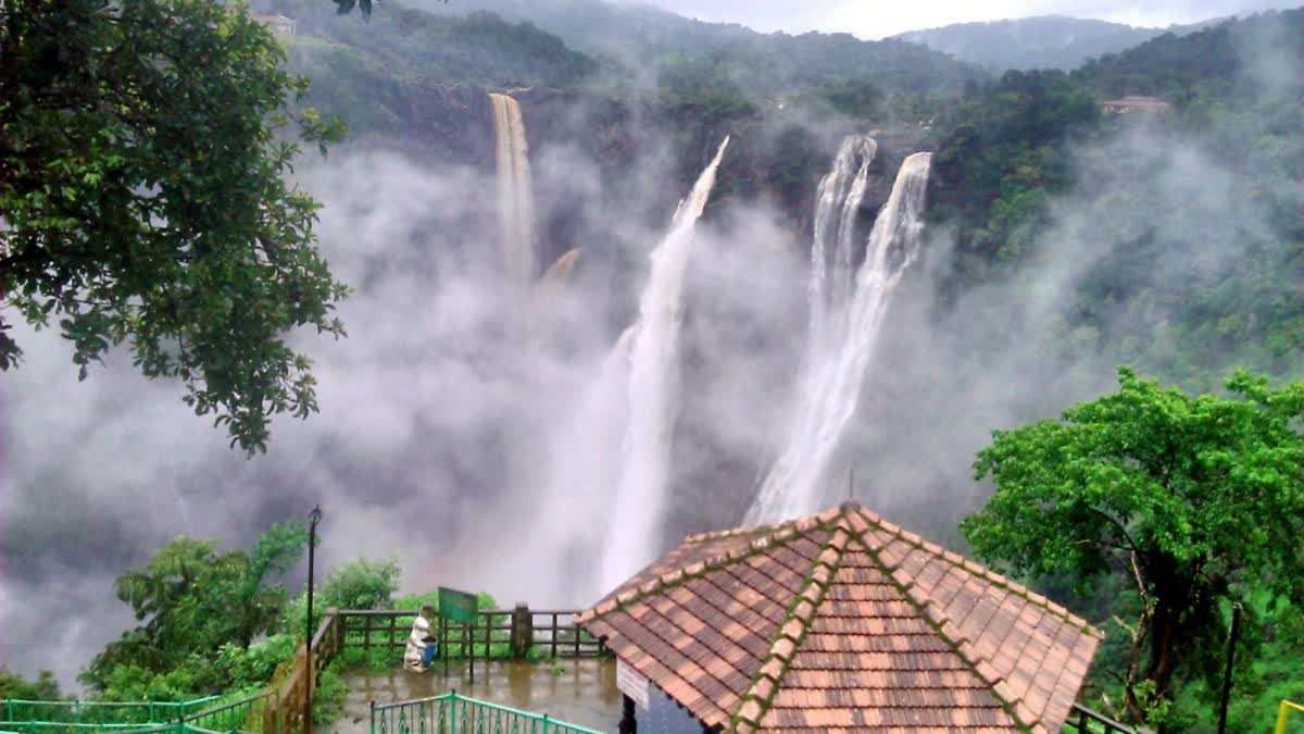 ಜೋಗ ಜಲಪಾತದ ರಾಜ, ರಾಣಿ, ರೋರರ್, ರಾಕೆಟ್ ಹೆಸರು ಹೇಗೆ ಬಂತು ನಿಮಗೆ ಗೊತ್ತಾ! - Jog ...