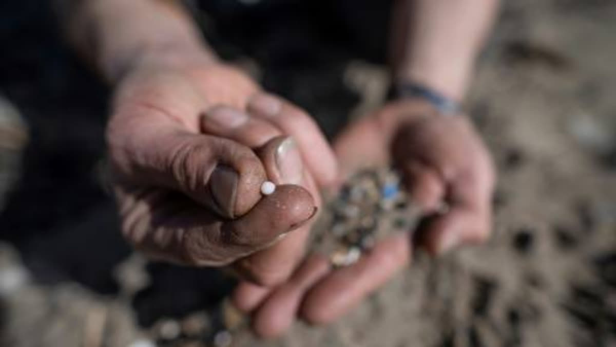 What Are All These Microplastics Doing To Our Brains? Representational Image