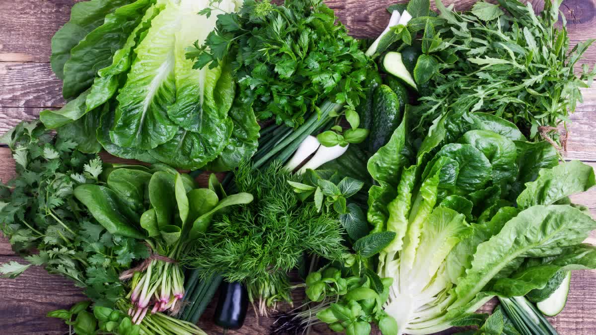 GREEN VEGETABLES IN MONSOON