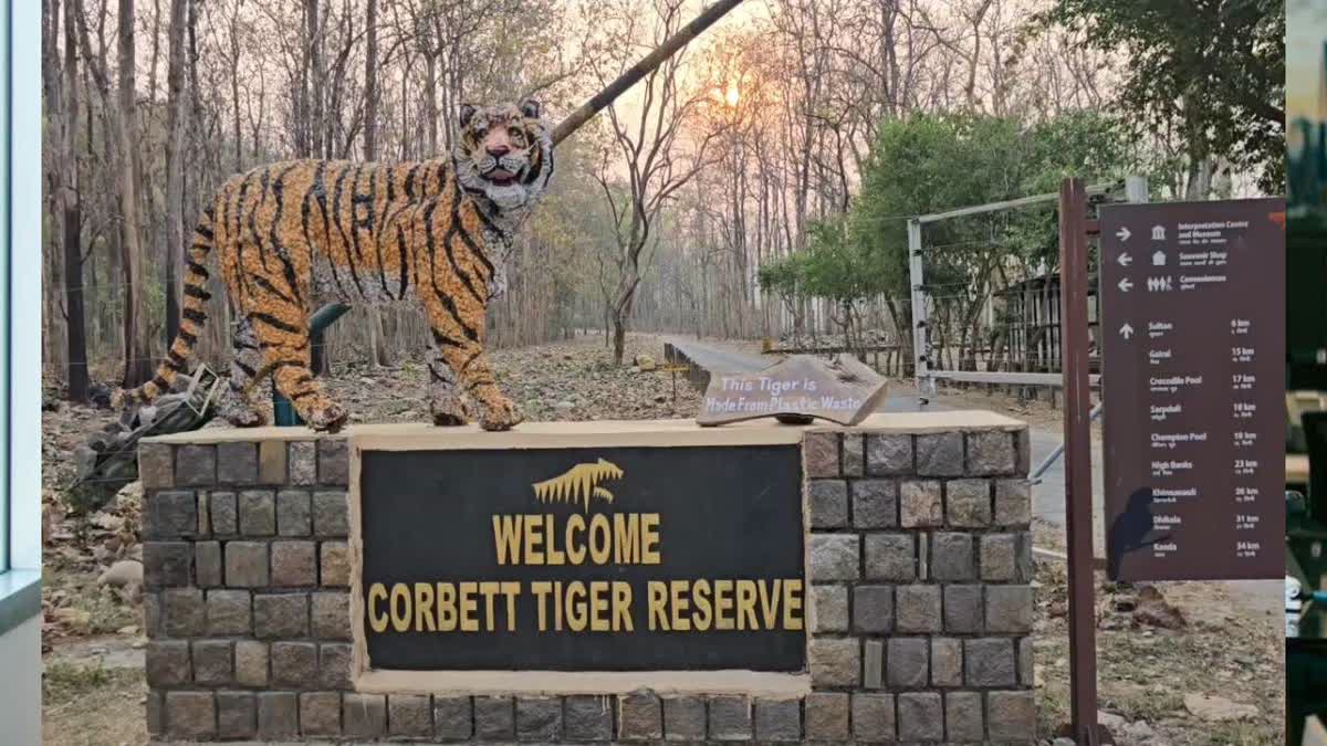 Corbett Tiger Reserve To Get Special Tiger Protection Force; What This Means For Big Cat Protection?