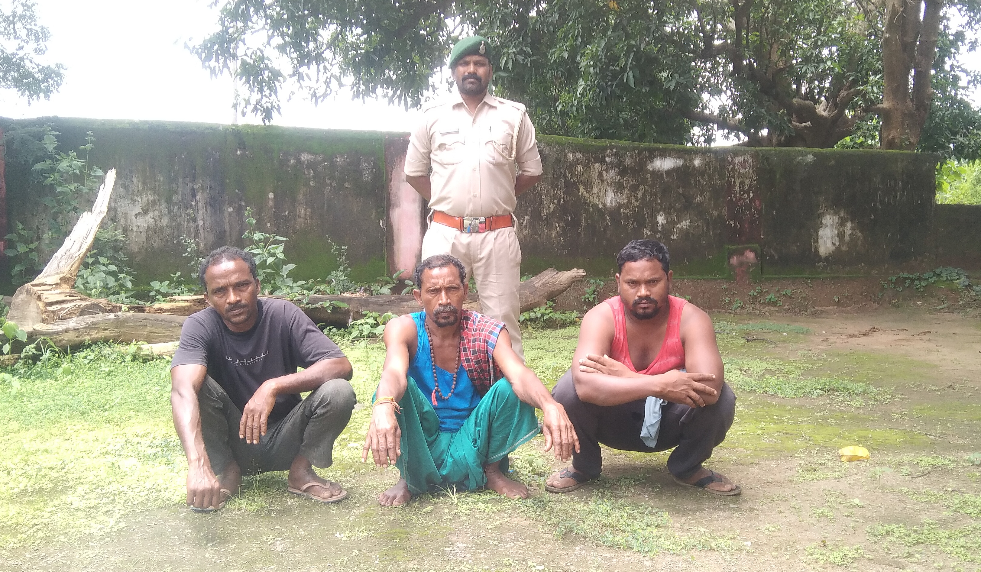 Elephant Dies Of Electrocution In Chhattisgarh's Korba, 3 Villagers Arrested