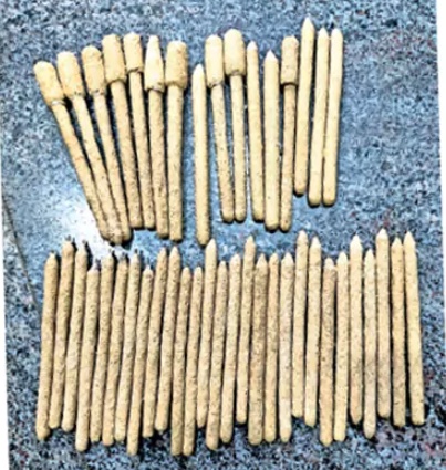 Eco-Friendly Corn Husk Pens By 3 Telangana Kids Shine At National Innovation Expo