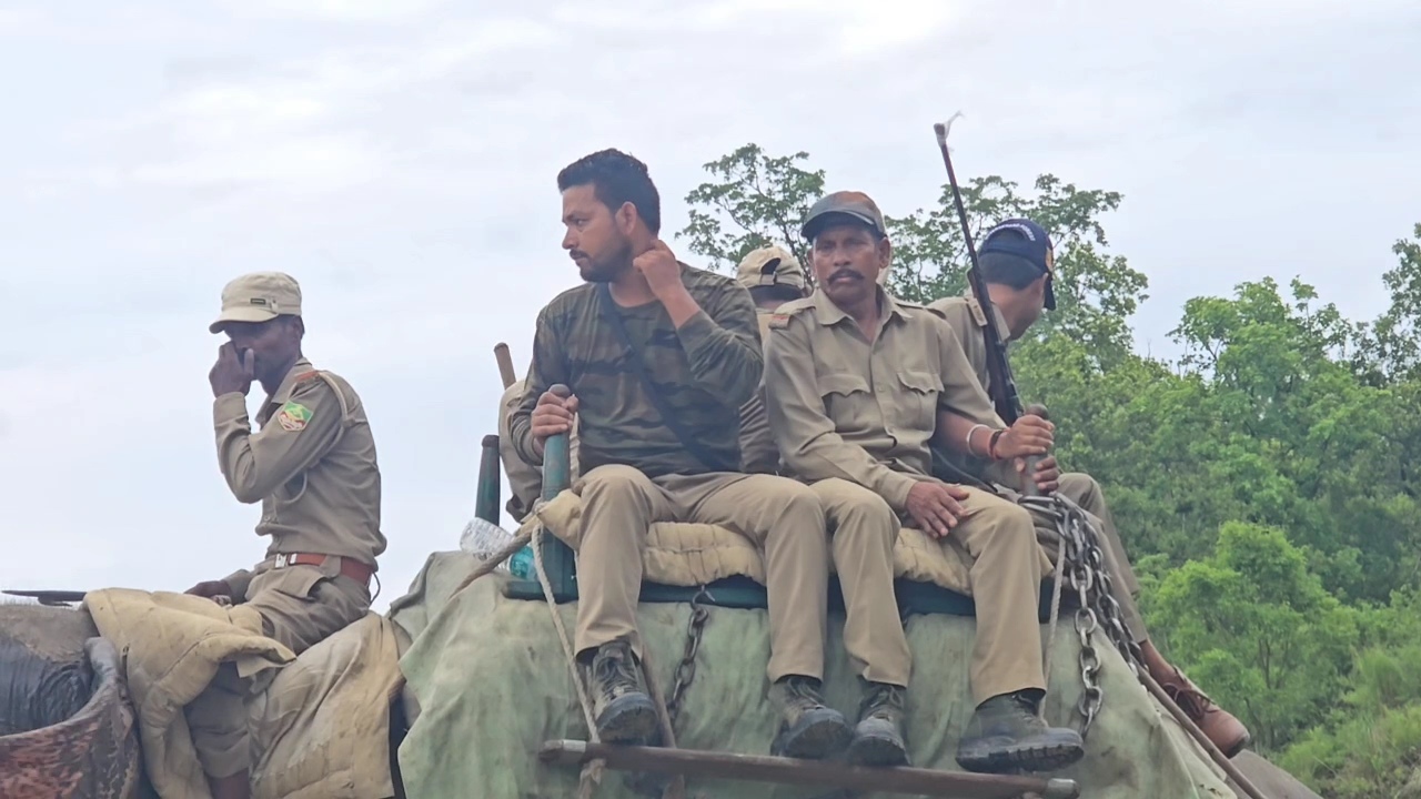 Corbett Tiger Reserve To Get Special Tiger Protection Force; What This Means For Big Cat Protection?