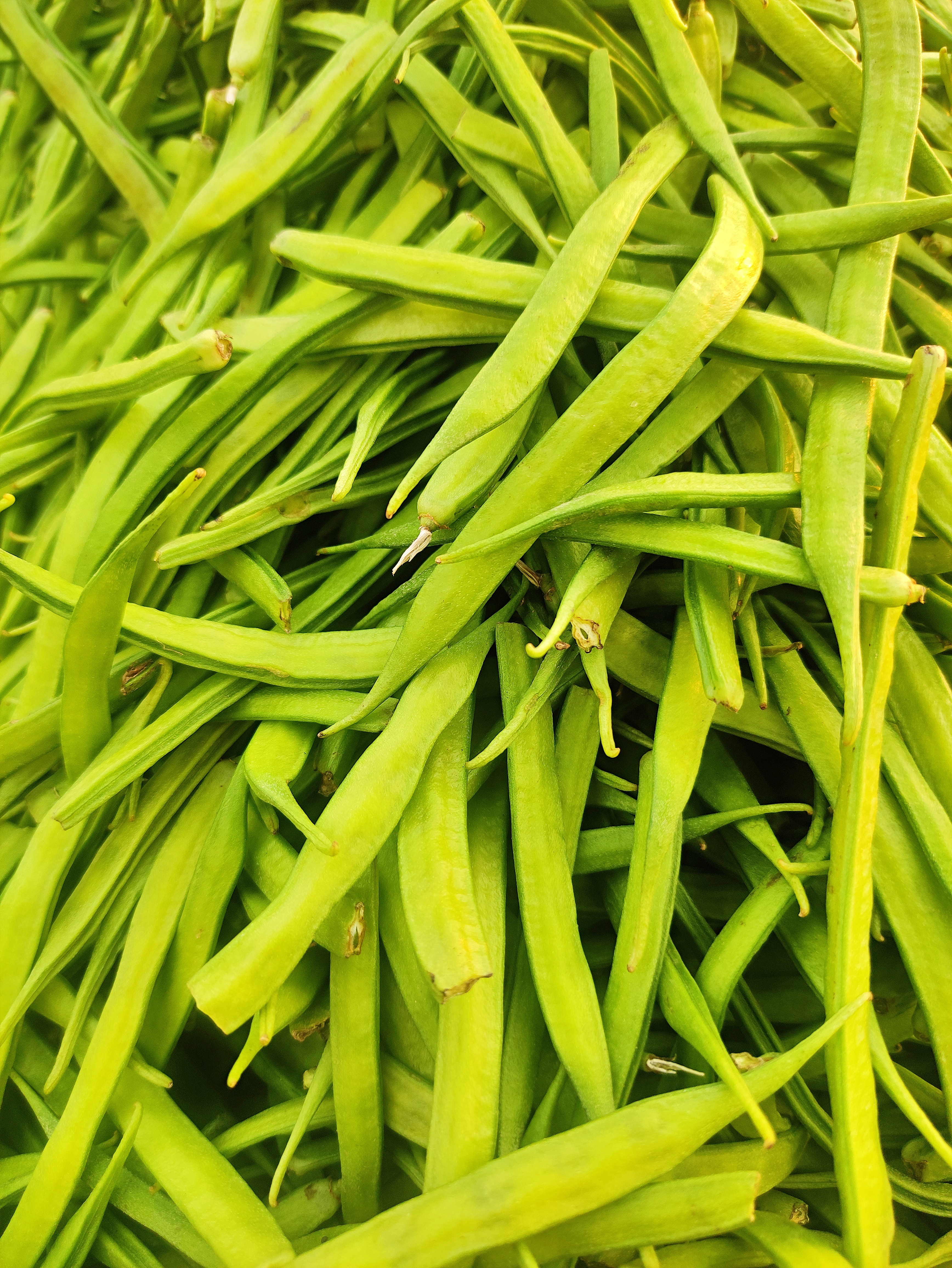Goruchikkudu Kobbari Karam Recipe