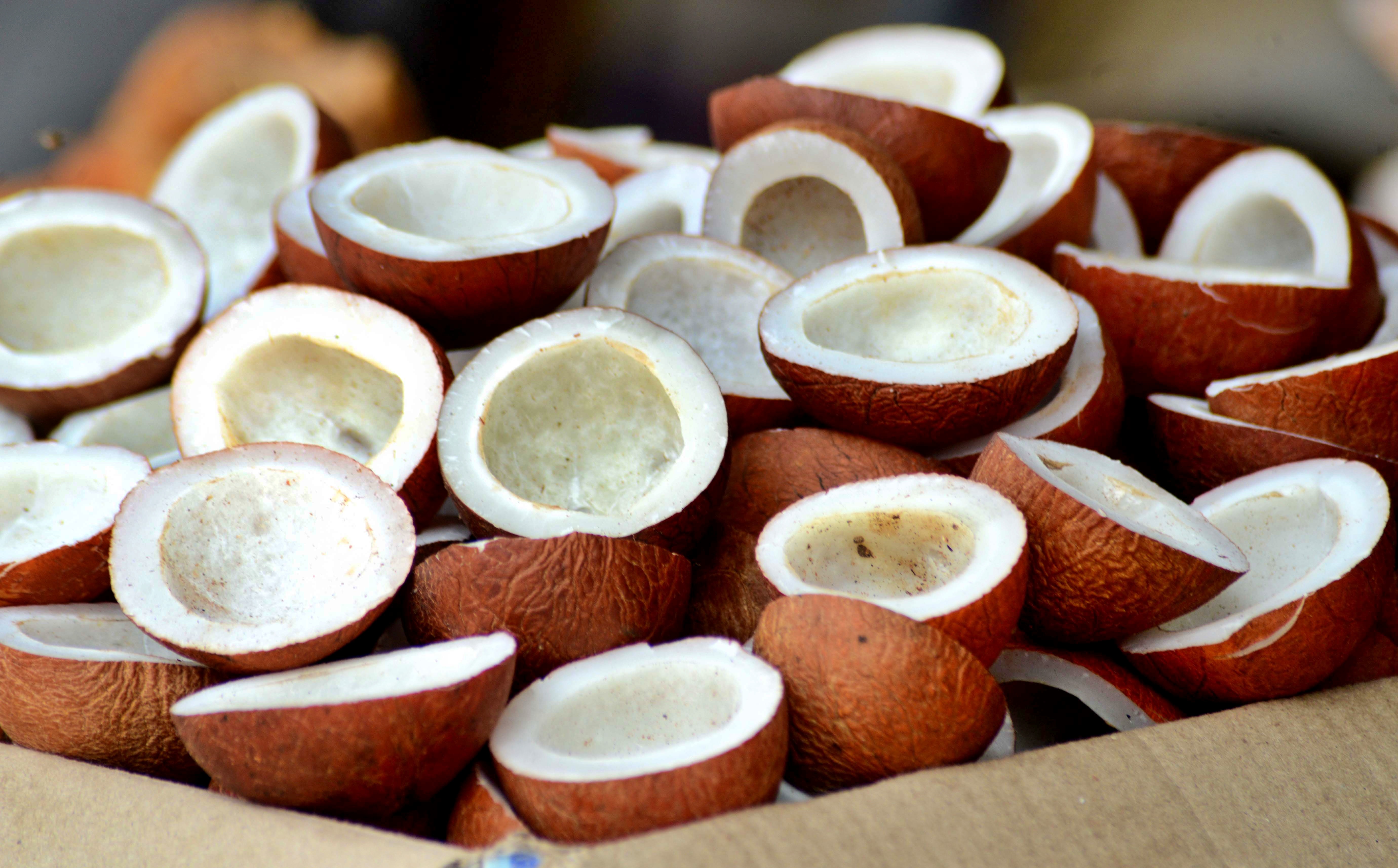 Goruchikkudu Kobbari Karam Recipe