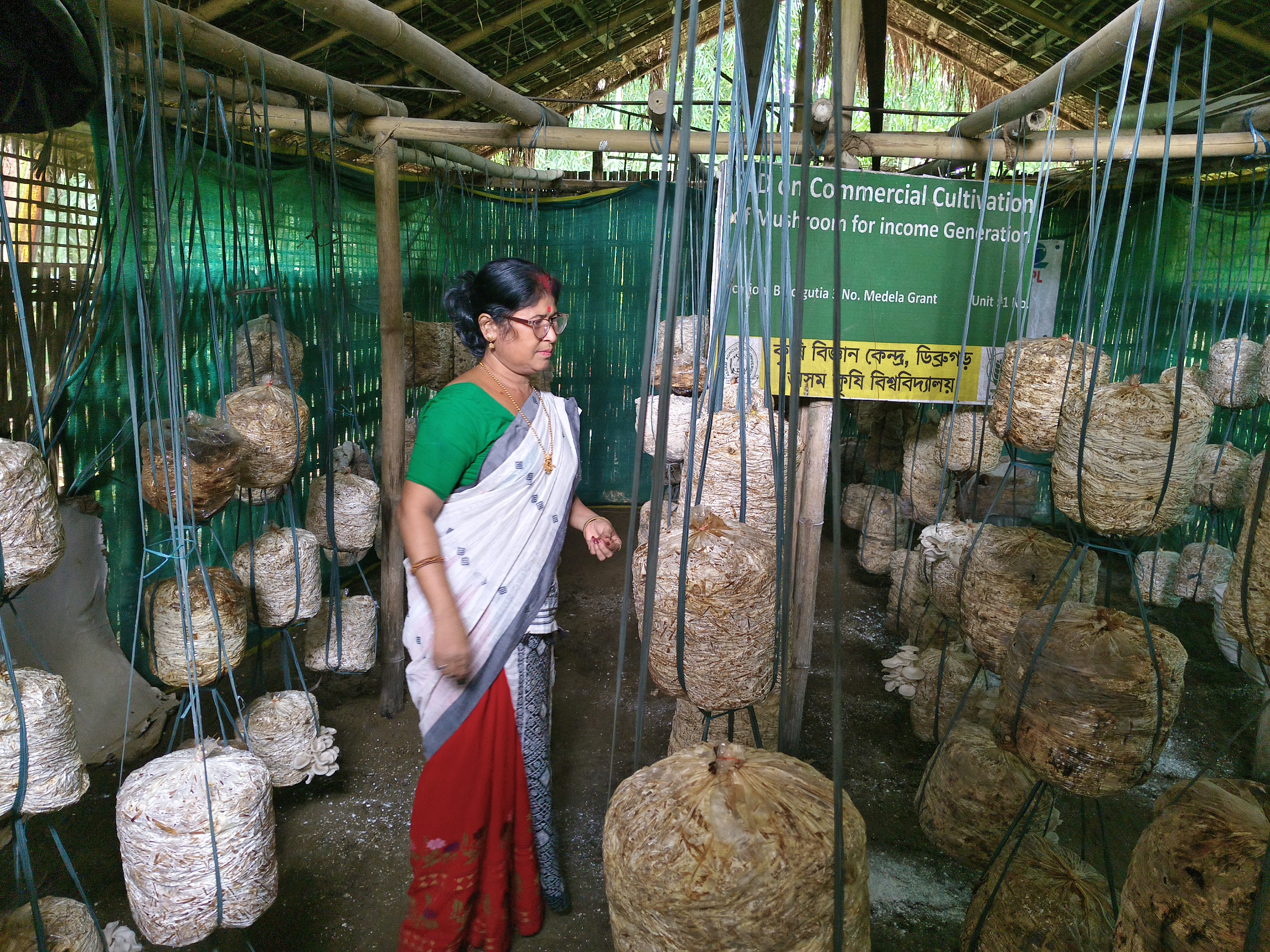 SELF RELIANT BY  MUSHROOM CULTIVATION
