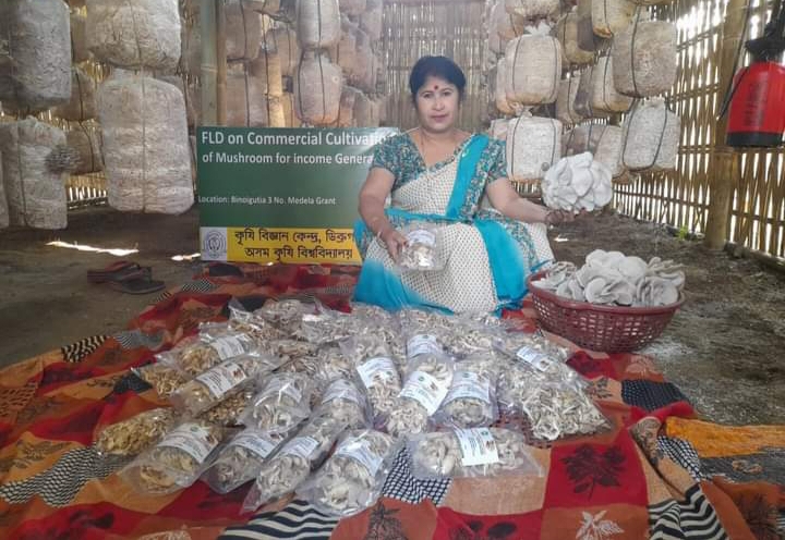 SELF RELIANT BY  MUSHROOM CULTIVATION