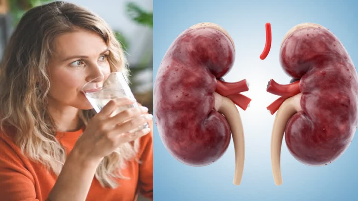 گردوں کو صحت مند رکھنے کے لیے روزانہ کتنا پانی پینا چاہیے؟ ماہرین نے بتائی اہم بات