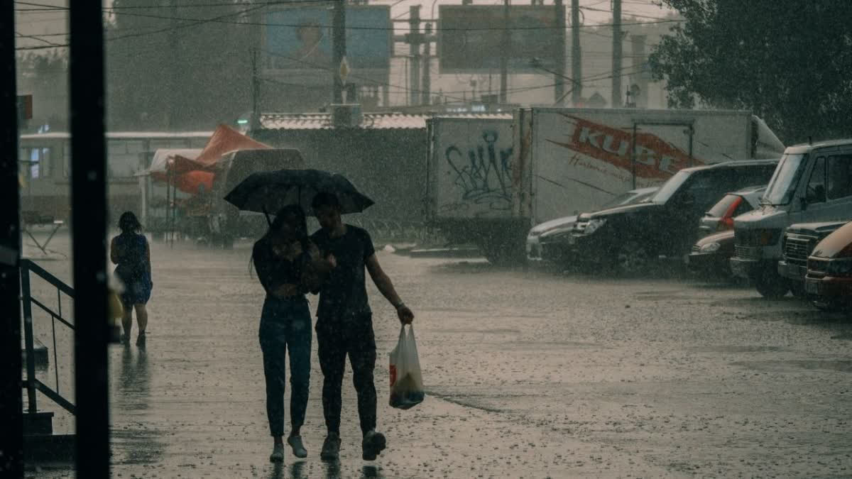 Kerala Weather Update  Monsoon Deficit In Kerala  Wayanad Rainfall Data  IMD Weather Forecast