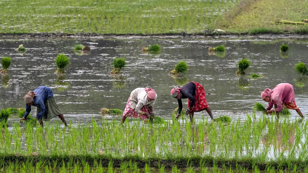 Land Aadhaar