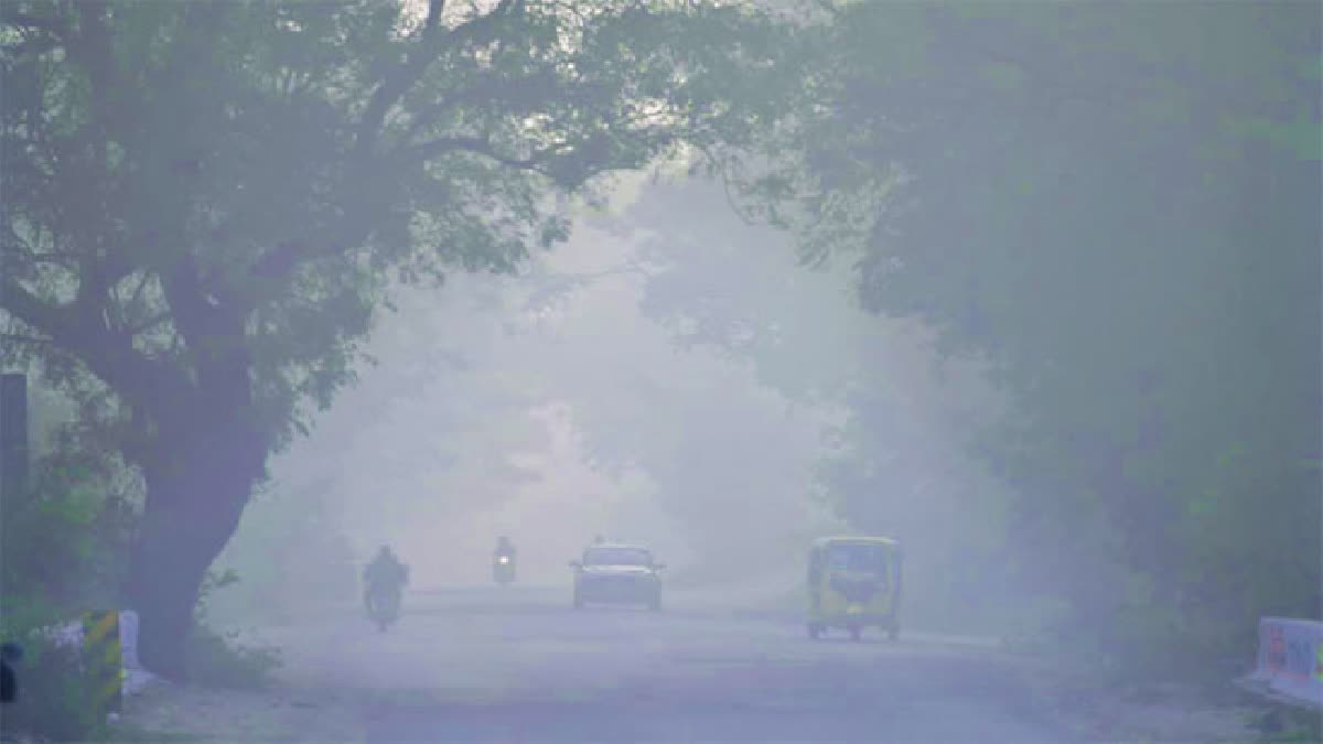WATER FROM FOG