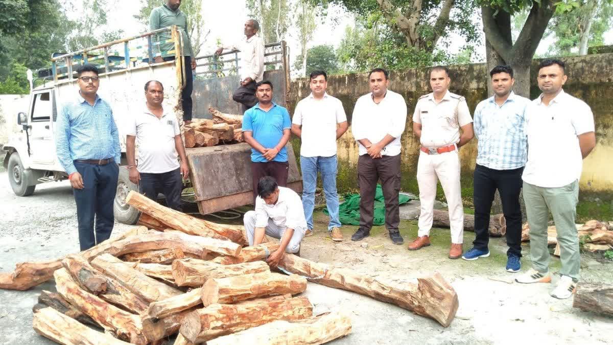 Yamunanagar Illegal Forest Cutting