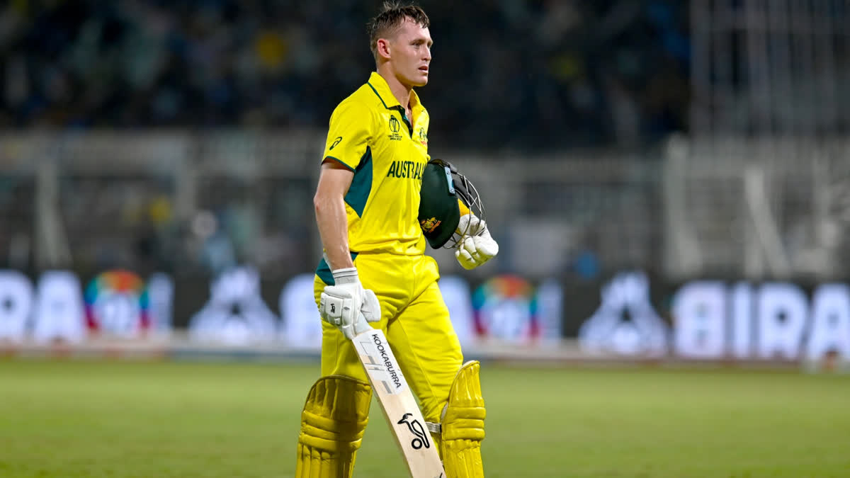 Marnus Labuschagne Dropped As Australia Announce Squad For Tours Of Zimbabwe And South Africa australia vs south africa zimbabwe