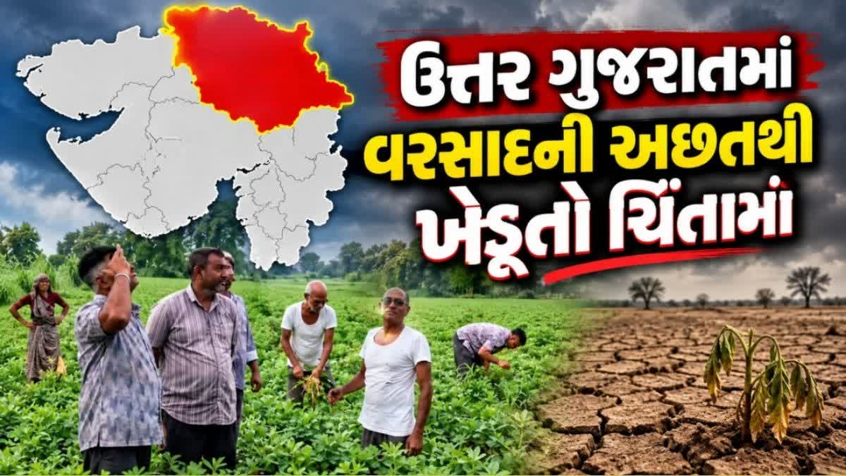 ઉત્તર ગુજરાતમાં વરસાદ ખેંચાતા ખેડૂતોની ચિંતા વધી