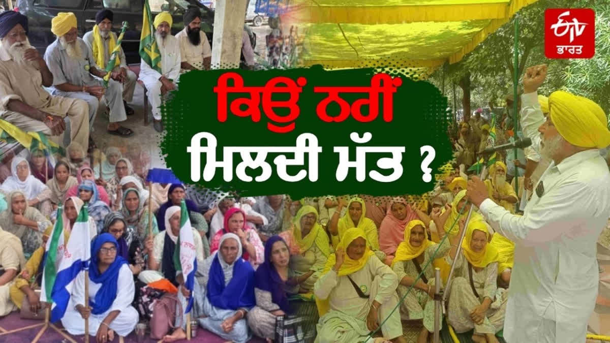 Why are the farmer organizations of Punjab divided