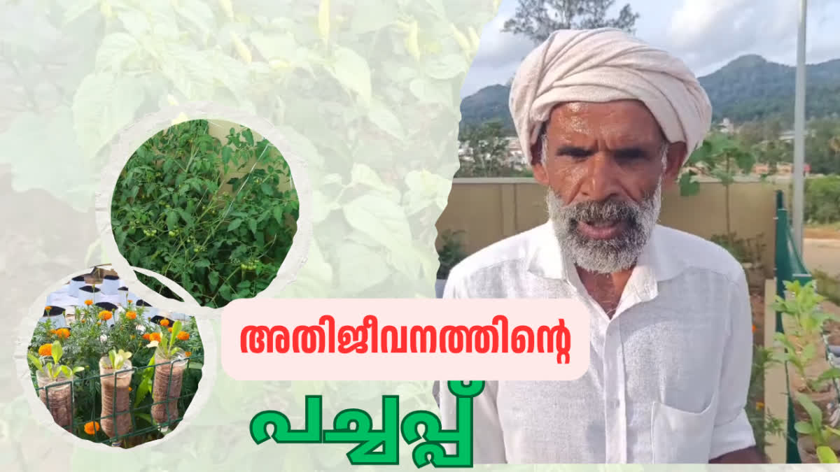 moitheenkutty Wayanad Township farm  Wayanad Township garden  flood kerala 2026  agriculture