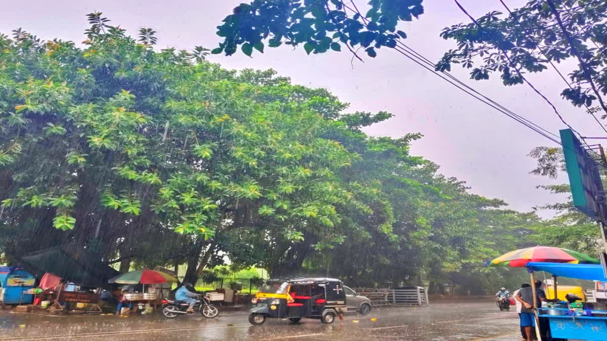 odisha weather update