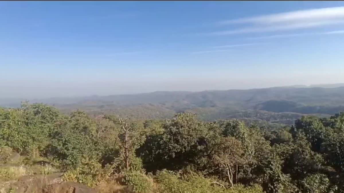 Kawardha Chilfi Valley Forest